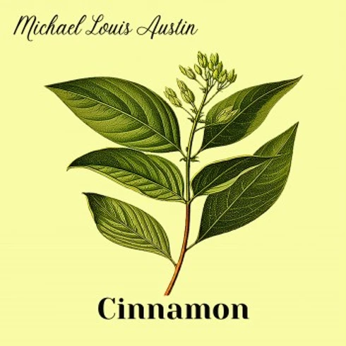 Cinnamon Review