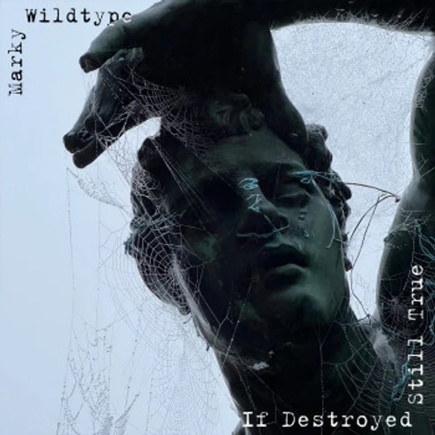 If Destroyed Still True Explores Alt Rock Confidence and Sensitivity at The Same Time