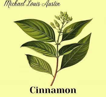 Cinnamon Review