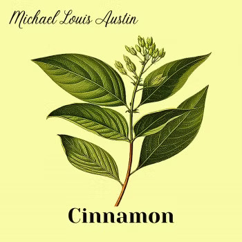 Cinnamon Review Cinnamon Review