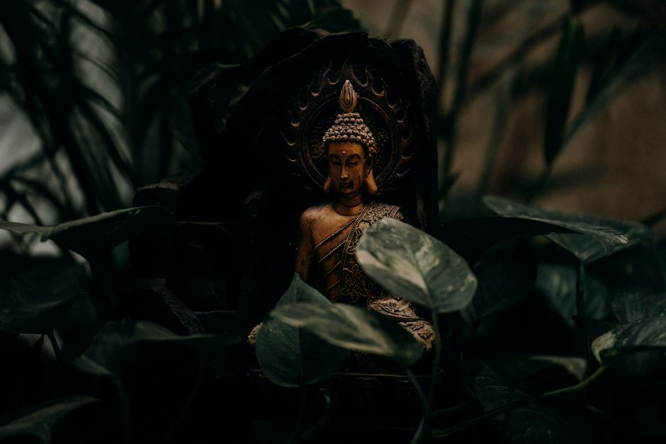 A tranquil Buddha statue surrounded by dense green leaves, exuding peace and spirituality.