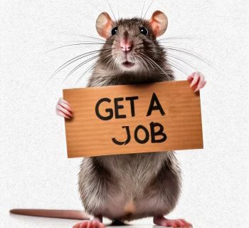 Get A Job Review